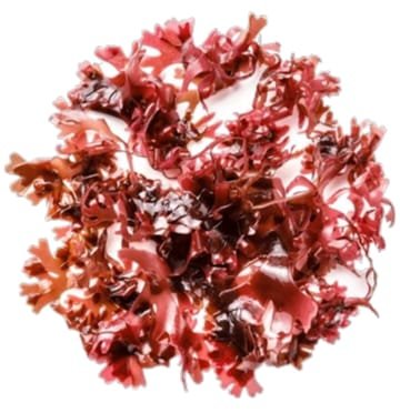 natural ways to boost stem cells