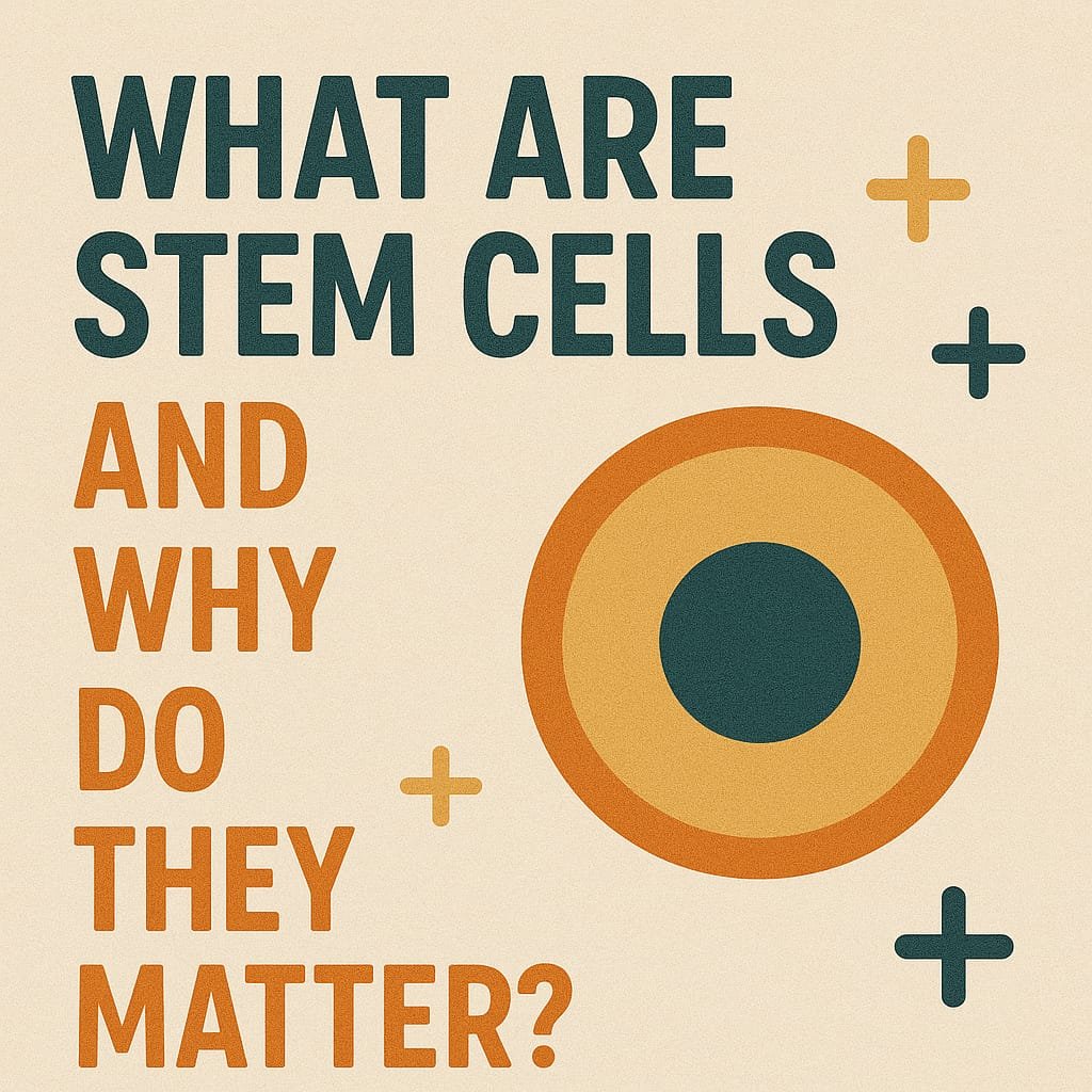 stem cell treatment cost India